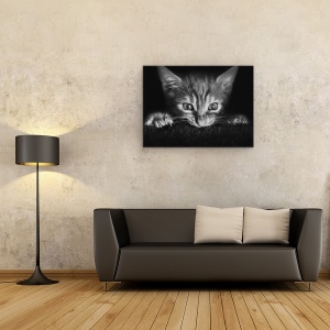 Tablou canvas - La Film, Pisica, Fereastra, Observare, 75 x 100 cm - Img 2