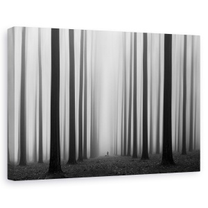 Tablou canvas - Labirint, Stare De Spirit, Atmosfera, Ceata, Caine, 60 x 90 cm