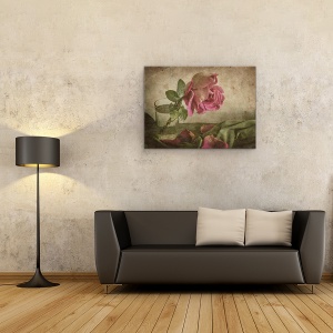 Tablou canvas - Lacrima Trandafirului, Trandafir, Sticla, Petale, Picatura, Draperie, 50 x 70 cm - Img 2