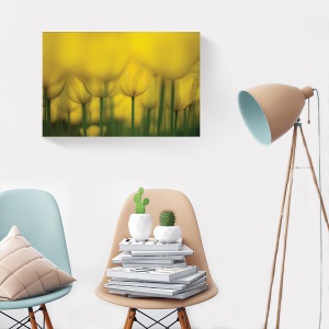 Tablou decorativ canvas lalele galbene pe fundal luminos
