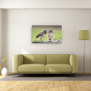 Tablou canvas - Lasa-Ma In Pace, Bufnita, Pasare, Natura, 50 x 80 cm - Img 2