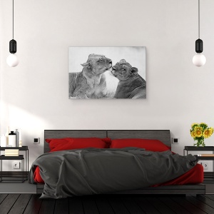 Tablou canvas - Lei In Alb-Negru, Zambia, Africa, Dragoste, 60 x 90 cm - Img 2
