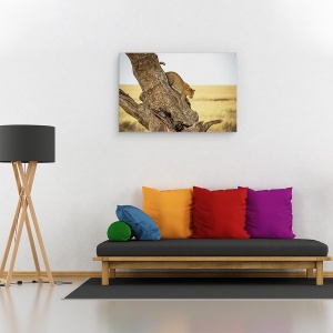 Tablou canvas - Leopard - Serengheti, Tanzania, Leopard, Ascensiune, Alpinism, Africa, 60 x 90 cm - Img 2