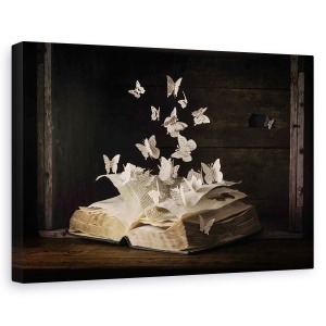 Tablou canvas - Lepidopterologie, Carte, Lectura, Gratuit, 80 x 120 cm