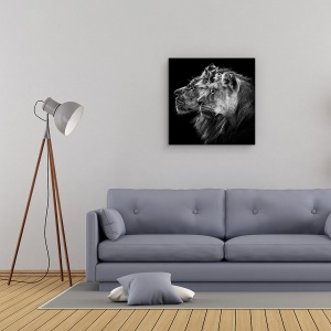Tablou Canvas - Leu Si Leoaica, Portret, Safari, Familie, Puternic, 60 x 60 cm - Img 2