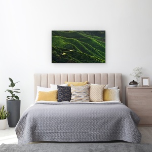 Tablou canvas - Linii, Peisaj, Verde, Tractor, Drum, Plantatie, Panta, 50 x 80 cm - Img 3
