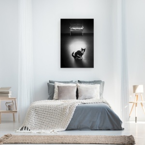 Tablou canvas - Liniste, Natura Moarta, Liniste, Alb-Negru, Alb-Negru, Scaun, 60 x 90 cm - Img 3