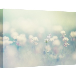 Tablou canvas - Lumea Mica, Macro, Fluture, Moale, Floare, Gradina, 80 x 120 cm