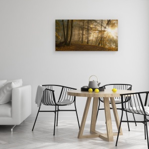 Tablou canvas - Lumina Padurii, Peisaj, Panorama, Soare, Raze, 50 x 100 cm - Img 4