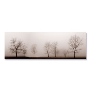 Tablou Canvas - Luna intunecata, Ceata, Padure, Toamna, 30 x 90 cm