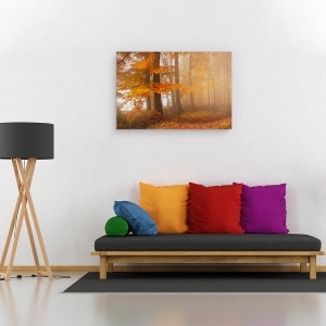 Tablou canvas - Marginea Padurii, Toamna, Frunze, 40 x 60 cm - Img 2