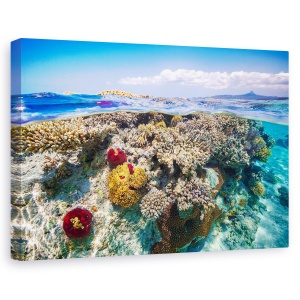 Tablou canvas - Mayotte Reciful, Recif, Mare, Ocean, Laguna, Mayotte, 40 x 60 cm