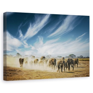 Tablou canvas - Meditatie, Nature, Africa, Salbatice, Elefanti, 60 x 90 cm