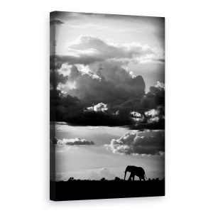Tablou canvas - Mergand Sub Cerul African, Elefant, Salbatic, Natura, Safari, 60 x 90 cm