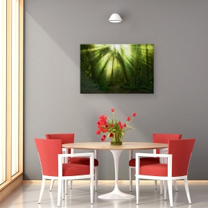 Tablou canvas - Miracolul, Statele Unite Ale Americii, Washington, Padurea Tropicala, Razele De Soare, Lumina, 40 x 60 cm - Img 4