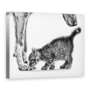 Tablou canvas - Miroase-Ma, Pisica, Caine, Intalni, Prietenos, 75 x 100 cm