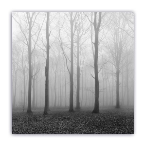 Tablou Canvas - Monochrom, Ceata, Padure, 60 x 60 cm