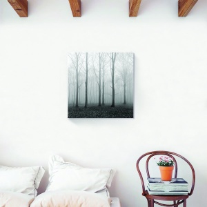 Tablou decorativ padure ceata pe canvas 60x60 cm
