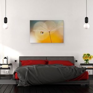 Tablou canvas - Muzica de Noapte, Papadie, Pene, Floare, 40 x 60 cm - Img 3