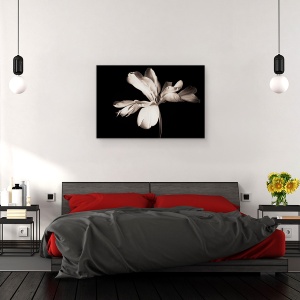 Tablou canvas - Natura Moarta, Floare, Alb-Negru, Intunecos, 60 x 90 cm - Img 3
