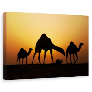 Tablou canvas - Nava Desertului, Camile, Animal, Apus De Soare, Desert, Grafic, 40 x 60 cm