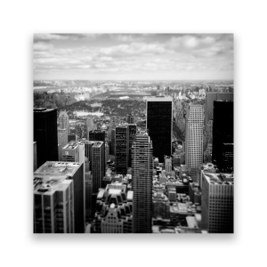 Tablou Canvas - New York, Central Park, Monochrom, Cladiri, 60 x 60 cm