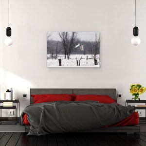 Tablou canvas - O Bufnita De Zapada, Iarna, Aripi, Rece, Pene, Canada, 40 x 60 cm - Img 3