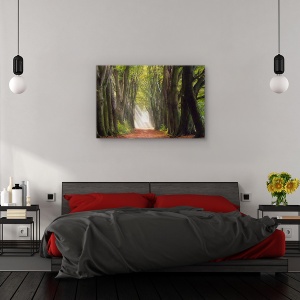 Tablou canvas - O zi glorioasa, Peisaj, Padure, Copaci, Ceata, 80 x 120 cm - Img 3