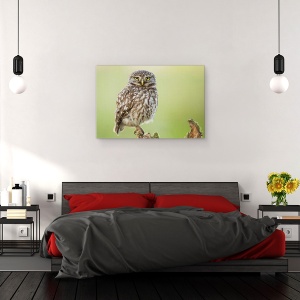 Tablou canvas - Observatorul, Bufnita, Pasare, Look, Salbatic, Natura, 40 x 60 cm - Img 3