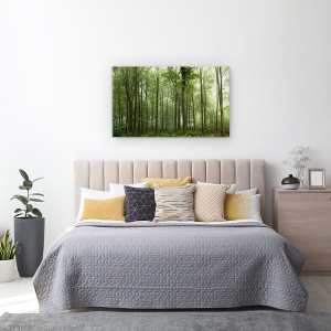 Tablou canvas - Padure, Danemarca, Ceata, Verde, Iutlanda, 50 x 80 cm - Img 3