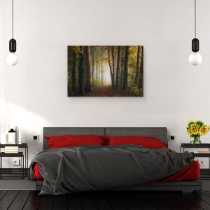 Tablou canvas - Padurea Colorata de Toamna, Drum, Mod, Perspectiva, Poteca, 60 x 90 cm - Img 3