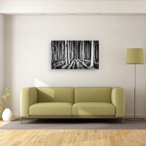 Tablou canvas - Padurea Fantoma, Peisaj, Copac, Trunchiuri, Umbra, Padure, 50 x 80 cm - Img 2