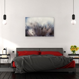 Tablou canvas - Padurea, Papadie, Picatura, Roua, Macro, Abstract, 40 x 60 cm - Img 3