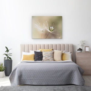Tablou Canvas - Papadie, Pane, Delicata, Bland, 75 x 100 cm - Img 3