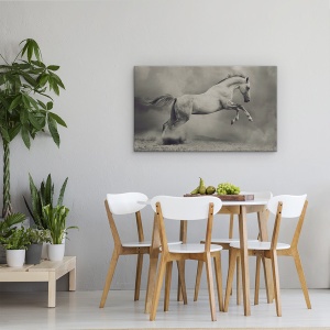 Tablou canvas - Parical, Cal, Animal, Salt, 50 x 80 cm - Img 4
