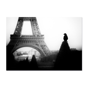 Tablou Canvas - Paris, Turnul Eiffel, 60 x 80 cm