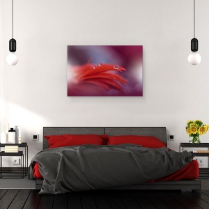 Tablou canvas - Pasiunea Rosie, Aproape, Picatura, Apa, Floare, 40 x 60 cm - Img 3