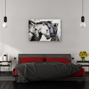 Tablou canvas - Patru cai Konik, Animal, Grup, intalnire, Dragoste, 60 x 90 cm - Img 3