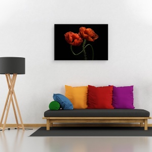 Tablou canvas - Pe La Miezul Noptii, Maci, Rosu, Flori, Fulger, 40 x 60 cm - Img 2