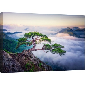 Tablou canvas - Pe Stanca, Stanca, Copac, Nor, Rasarit de Soare, Peisaj, Panorama, 50 x 80 cm