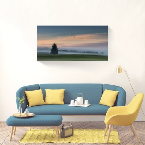 Tablou canvas peisaj de dimineață cu ceață și răsărit