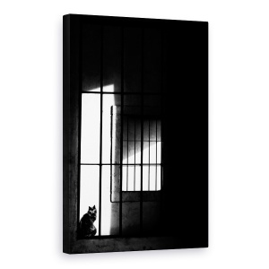 Tablou canvas - Pisica, In Fiecare Zi, Animal Captiv, Alb-Negru, 60 x 90 cm
