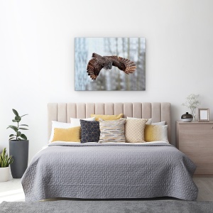 Tablou canvas - Planare, Natura, Bufnita Gri, Mare Gri, Salbatic, 60 x 80 cm - Img 3