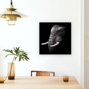 Tablou Canvas - Portret, Elefant, Animal, Intuneric, Trunchi, Experienta, 90 x 90 cm - Img 4