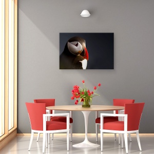 Tablou canvas - Portret Puffin, Pasare, Animal, Cioc, Animale, 60 x 90 cm - Img 4