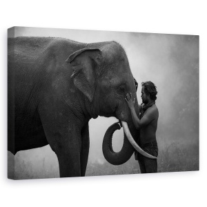 Tablou canvas - Prieten, Elefant, Om, Vanator, Thailanda, Relatii, 40 x 60 cm