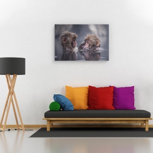 Tablou canvas - Prieteni, Nature, Maimuta, Cuplu, Prietenie, 80 x 120 cm - Img 2