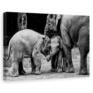 Tablou canvas - Prieteni pe viata, Nature, Elefant, Prieteni, intalnire, 80 x 120 cm