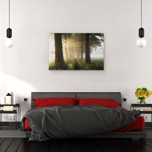 Tablou canvas - Prima Zi De Vara, Peisaj, Alee, Cale, Rural, Drum, 60 x 90 cm - Img 3