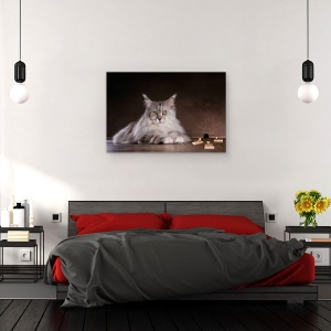 Tablou canvas - Prinde-Ma Daca Poti, Soarece, Amuzant, Umor, Pisica, Pet, 60 x 90 cm - Img 3
